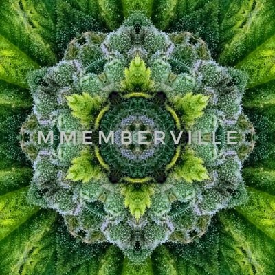 Welcome to the official #Mmemberville page. 
Co-founder's : @Zip_zona & @Sparzito_
in
Partnership with @CannabisGolfCLB & @420ClubNFT 📌