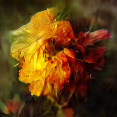 What is imagination? Investigating via de novo trained generative adversarial neural networks.
Long duration neural net training videos on YouTube.
