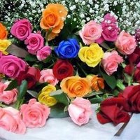 Özen Bilge Acar (@bilgeozen) 's Twitter Profile Photo