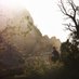Riley Linnehan Travels (@travelsriley) Twitter profile photo Riley Linnehan Travels (@travelsriley) Twitter profile photo