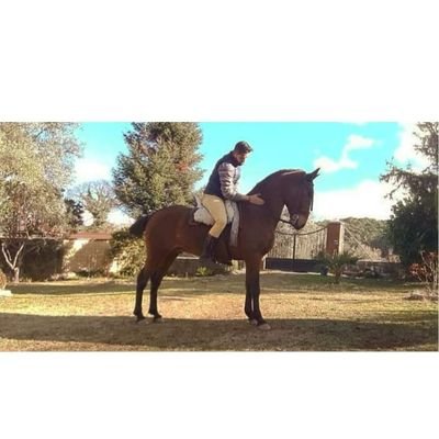 Las vueltas dan mucha vida.
Ven, que te toque las palmas👏👏
🐴🐎🐴