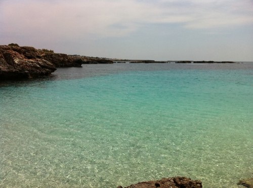 perecladera's profile picture. Llicenciat en Física. Actualment Tècnic de  Predicció i Vigilància al Servei Meteorològic de Catalunya. Menorquí a Catalunya.