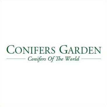 conifersgarden's profile picture. Conifers Garden is a Hungarian online conifer nursery, specialized in naturally occurring rare conifers species. Shipping Worldwide.