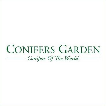 Conifers Garden is a Hungarian online conifer nursery, specialized in naturally occurring rare conifers species. Shipping Worldwide.