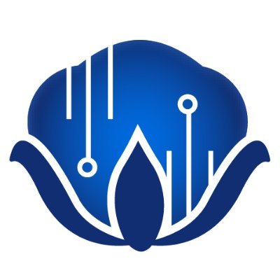 Blue Cotton Tech Services provides affordable, dependable, trustworthy, and efficient IT Support Services to small to medium businesses in the greater DC area