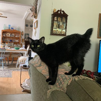 sirCanada3's profile picture. No label included