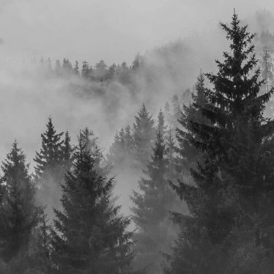 I am the cloud covering that caresses the pines, the glimmer of fresh snow, the sun that bleaches the bones that you left behind.