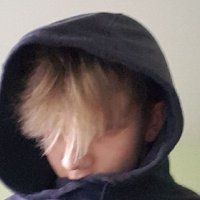 Shimaitis (@shimaitis2) 's Twitter Profile