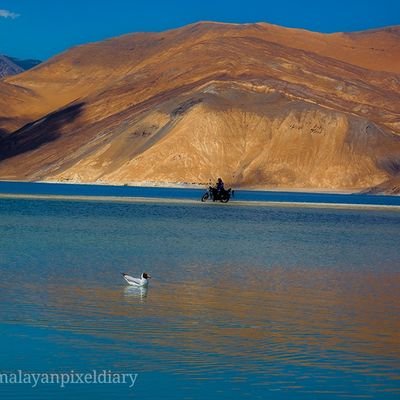🩺
~Kishtwar, Jammu & Kashmir
~Mountain Soul 🏔️
~Solo Rider 🏍️
~Stargazing,Visual Artist.
Tweets are personal.Retweets ain't endorsement.