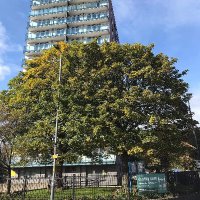 Brunswick Estate Community Group (@brunswickestate) 's Twitter Profile