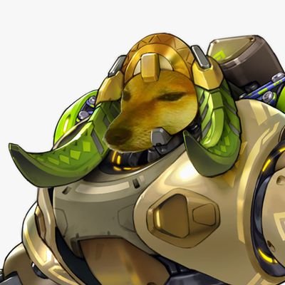 draco Profile