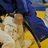 budokaivenlo's profile image