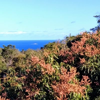 Islandman1968's profile picture.