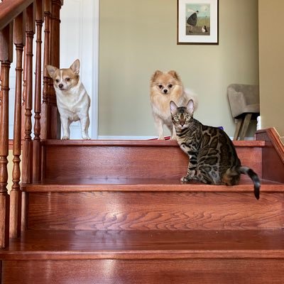 KyleHao's profile picture. 