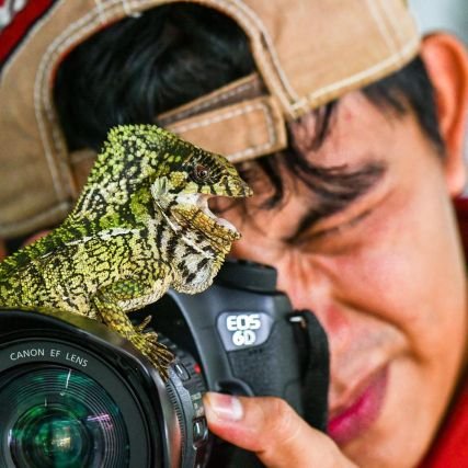 Jesús Antonio Moo Yam Profile