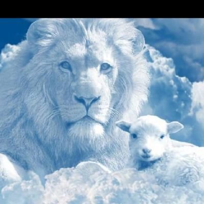 macnic_ed's profile picture. Who are you to judge the life I live? I'm not perfect and I don't live to be...but before you start pointing fingers, make sure your hands are clean #BobMarley