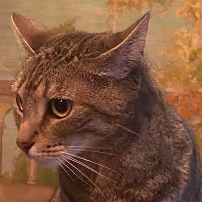 CynthiaBatty's profile picture. 