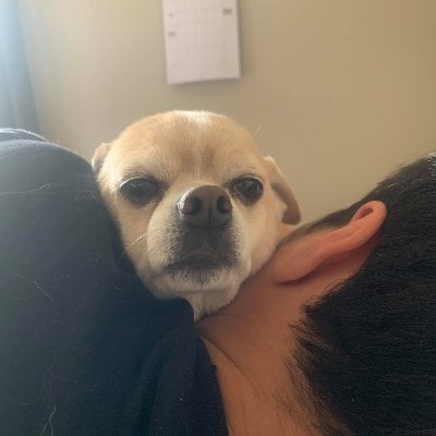 izt_hadlee's profile picture. I like cricket I like cs I like doggos,  @nzstreams team member, @twitch affiliate and again dog enthusiast https://t.co/PXmi3oVgpk