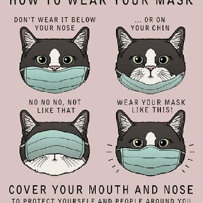 bmsuzukawa's profile picture. 