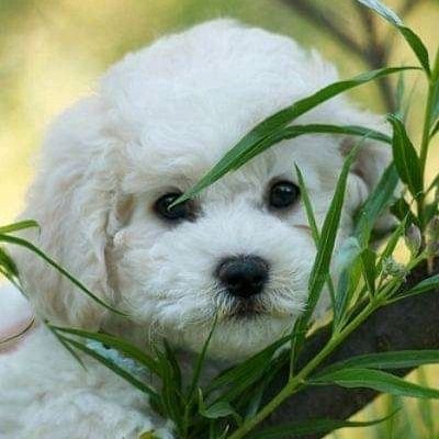 JerryHannah15's profile picture. Love is all about https://t.co/buLkYrN0PV faithful to your partner and never turn your back on him or her