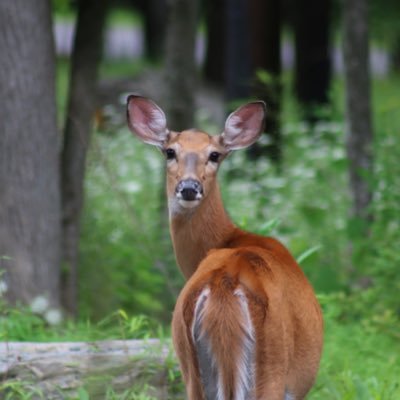 BleddyntT's profile picture. Retired FEMA/FDNY rescue medic. now photographer, artist, & writer. God bless us all!