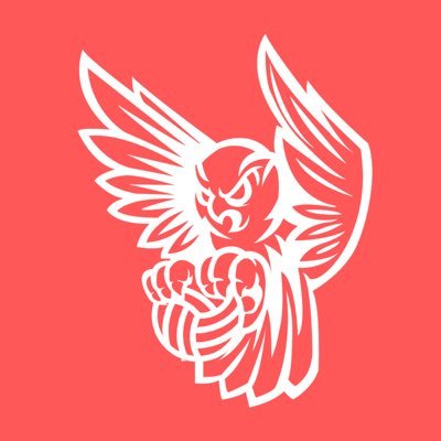 Agua Fria OWLS Men’s Volleyball 2021🦉