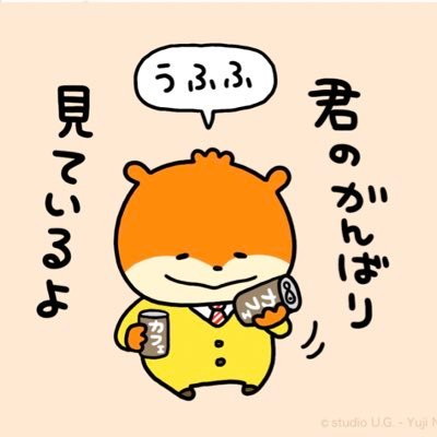 無言フォローすみません！お気軽に絡んでください🙇‍♀️