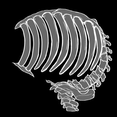 Radiologist. Radiation exposure did things to my personality 🇨🇦