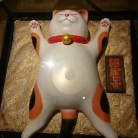 ちえぞう (@chiezo_whtpanda) 's Twitter Profile