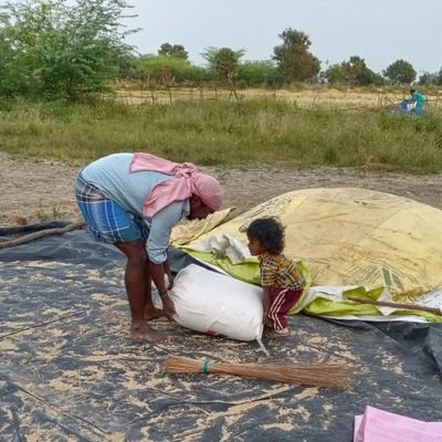 umabakiyaraj's profile picture. 