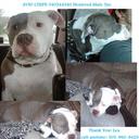 Lea Allison - @Lea_Allison88 - Twitter