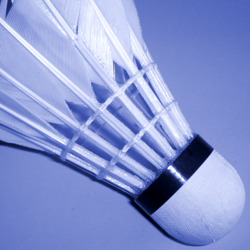 Badminton Club playing in the Reading and Bracknell badminton leagues. Club nights are Thursday evening, two courts from 8 to 10pm at Woodford Park in Woodley.