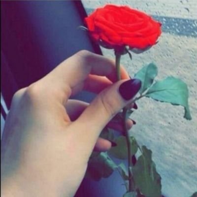 أميرة الورد 🌸🌸🌸.