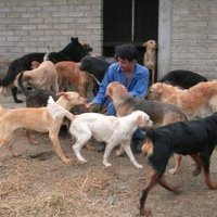 José Luis Martinez Reyes (@josluis47356593) 's Twitter Profile