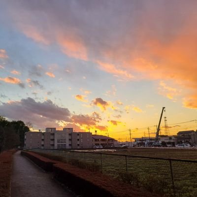 zw_107's profile picture. 読みはイチマルナナまたはイオナです。
周りが楽しそうでうっかり作ってしまいました。皆さんのツイートを見てﾆﾖﾆﾖする用です。（と言いつつ脱出のノベルティ欲しさにそっち系の投稿してます。あとアプリのも。）
SNS慣れていないので操作等ちんぷんかんぷんなことをしでかすかと思いますが宜しくお願い致します。