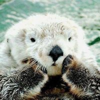 某B🇯🇵 (@ranpox2015) 's Twitter Profile