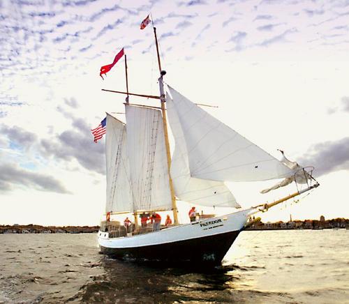 SchoonerFreedom's profile picture. We sail with guests out of St. Augustine's Municipal Marina to wherever the wind may take us! Call for reservations and information: 904-810-1010.
