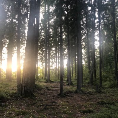 Justmath8's profile picture. 