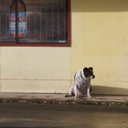 John Ogle - @John_Ogle - Twitter