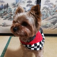 ユキヒロ (@yukihs3869) 's Twitter Profile