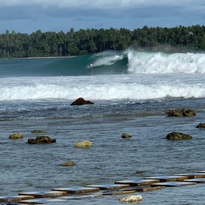 StefanoCavazza5's profile picture. I dont believe anything anyone says. Formerly owner of SC Enterprises high quality clothing manufacturer.
Degree in economic sciences.
Now retired