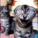 Beatriz Almazan - @BeatrizAlmazan - Twitter