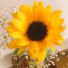 yuyuyu121212121's profile picture. 2歳と2人目を妊娠中のママです😊懸賞始めたばかりの初心者です🔰よろしくお願いします