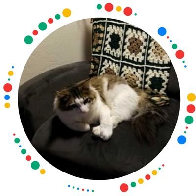 SalmonberryAk's profile picture. 