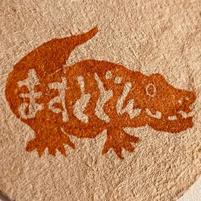 中島保寿 Yasuhisa Nakajima Ph.D/paleontologist at Tokyo City University 古生物学者@東京都市大学准教授/理工学部自然科学科&大学院総合理工学研究科自然科学専攻で古生物学の研究室をつくっています。完成度今80% #TCUPaleoLab