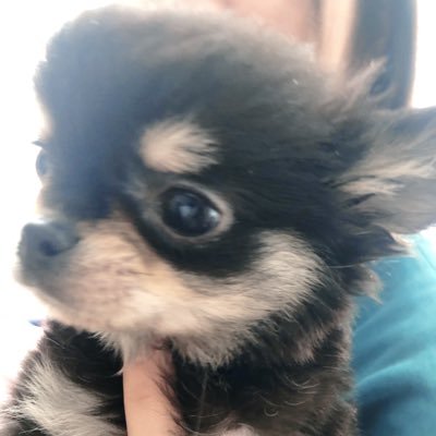 Celn6wDOse6PCaa's profile picture. HGU経済