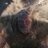 daveight88's profile image