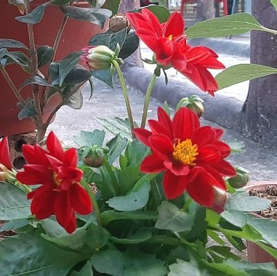 Mocmactv2's profile picture. ok