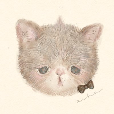 アナログ絵描き＆立体作る人。動物、爬虫類。日常～展示のお知らせ等。RT続いても許して。内容も更新も気まぐれよ。
作品はinstagram→　achapon3
フォロー嬉♪
💜my website and social media
👇他SNS等、ご依頼等は下記Linkより願👇