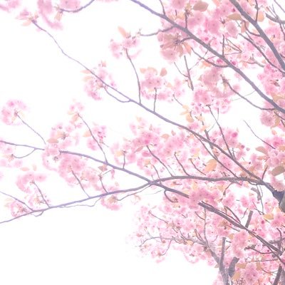 スマイル(垢移行)さんのプロフィール画像